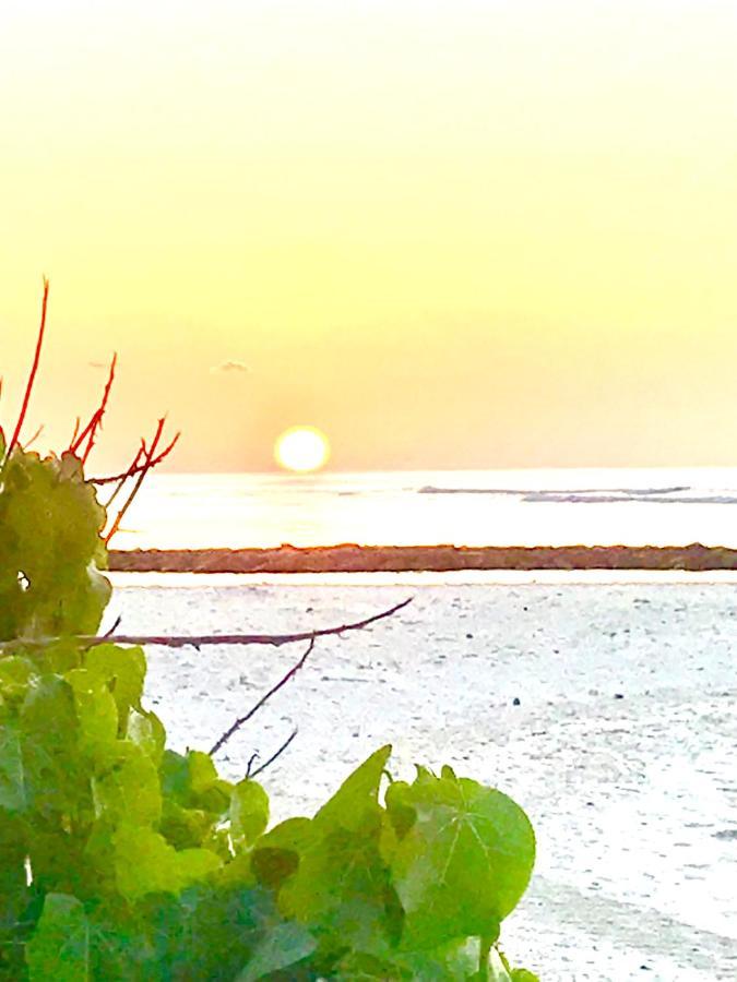 Malas Island View Fulidhoo Exterior foto