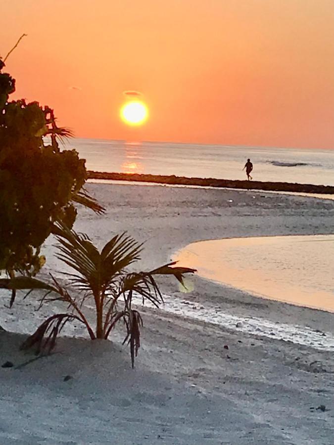 Malas Island View Fulidhoo Exterior foto