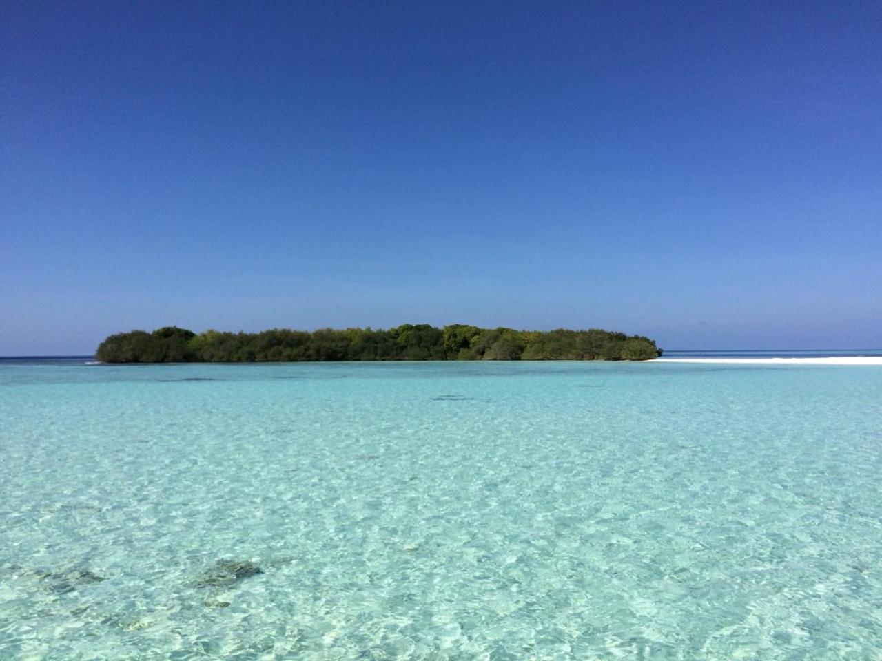 Malas Island View Fulidhoo Exterior foto